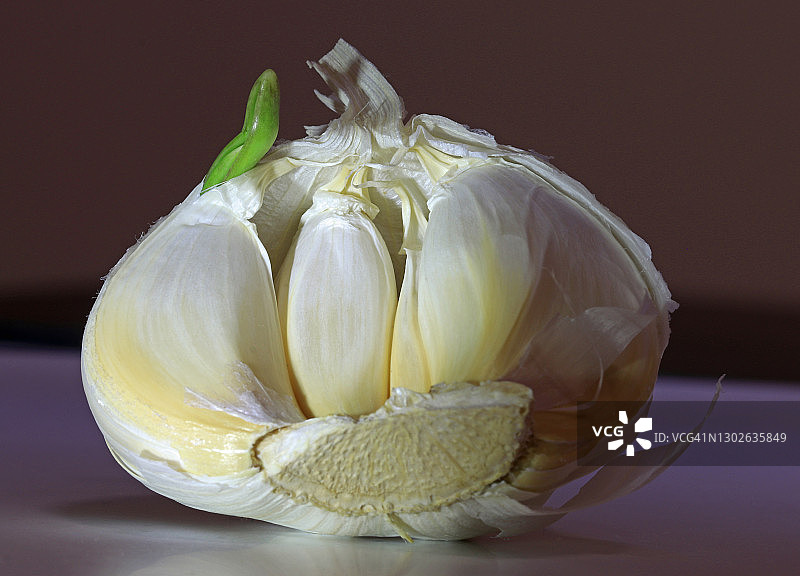 正在发芽的蒜瓣特写图片素材