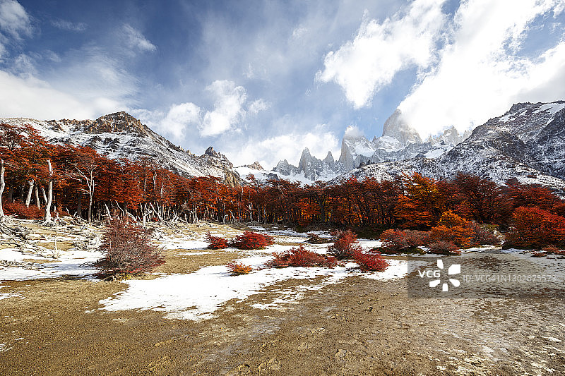 菲茨罗伊图片素材