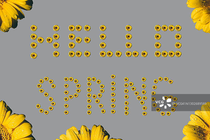 灰色背景上的你好春天铭文图片素材