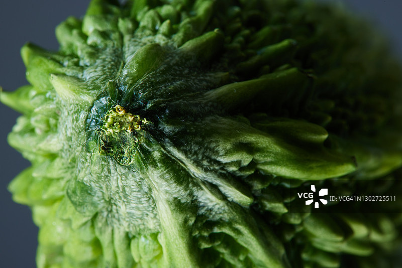 苦瓜皮特写图片素材