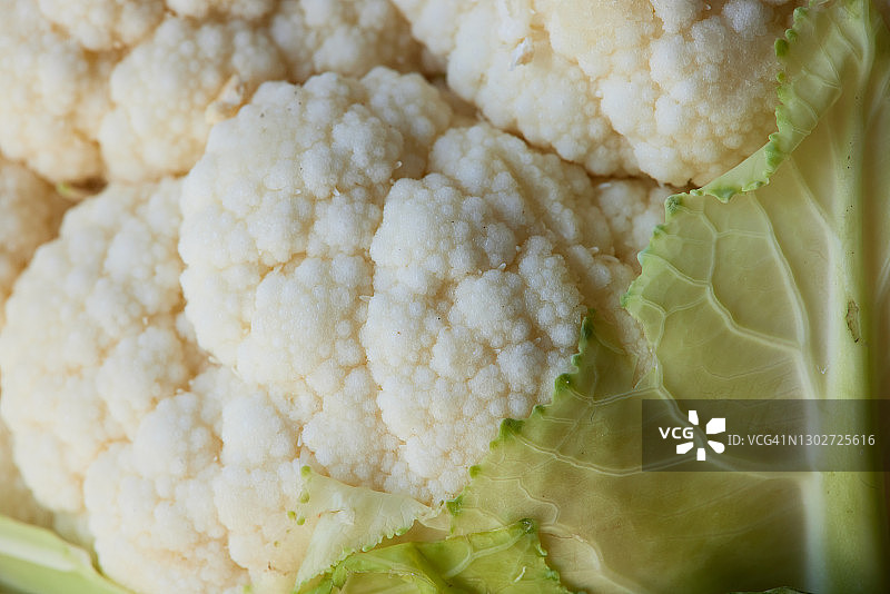 花椰菜特写图片素材
