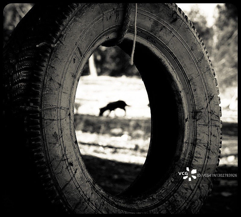 轮胎秋千：遗弃概念图片素材