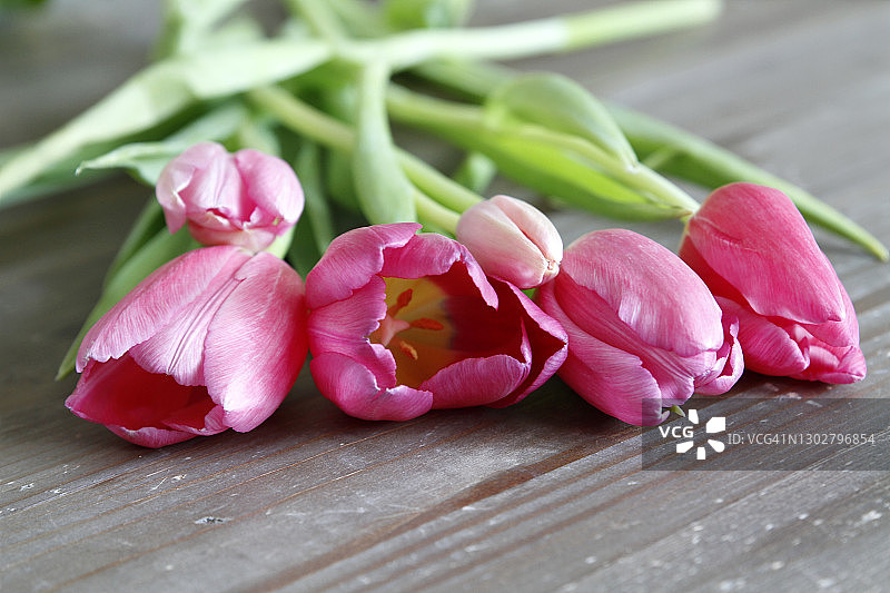 木头上的郁金香特写图片素材