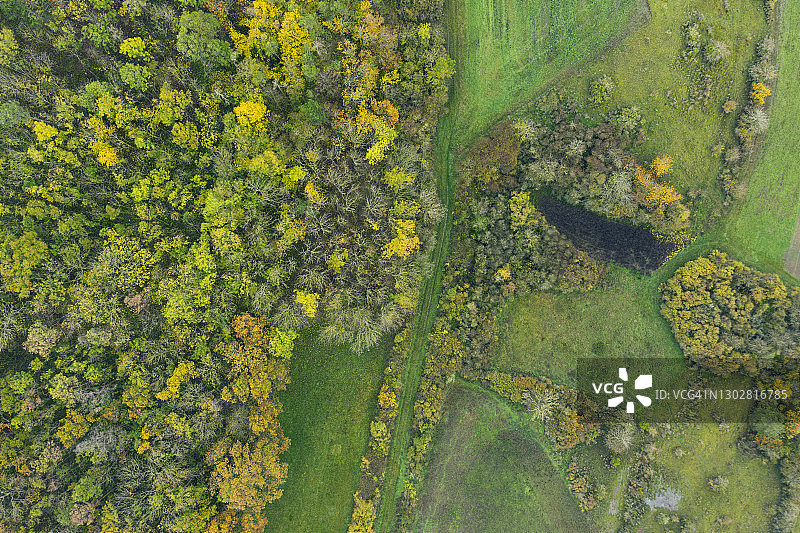 秋季乡村景观的鸟瞰图，有轮胎痕迹、草地和森林。德国巴伐利亚州弗兰克尼亚图片素材