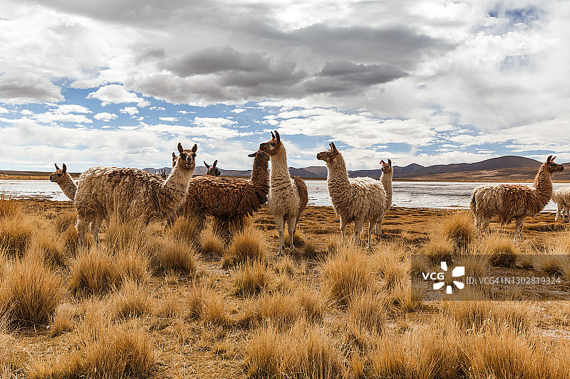 波托西南部沙漠图片素材