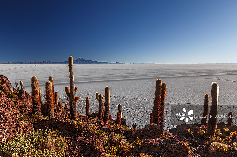 乌尤尼盐沼图片素材