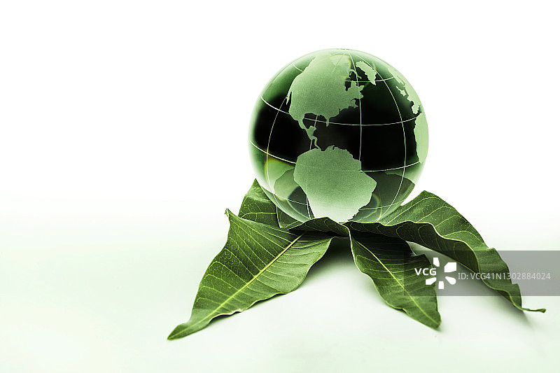 叶子上的绿色地球仪图片素材