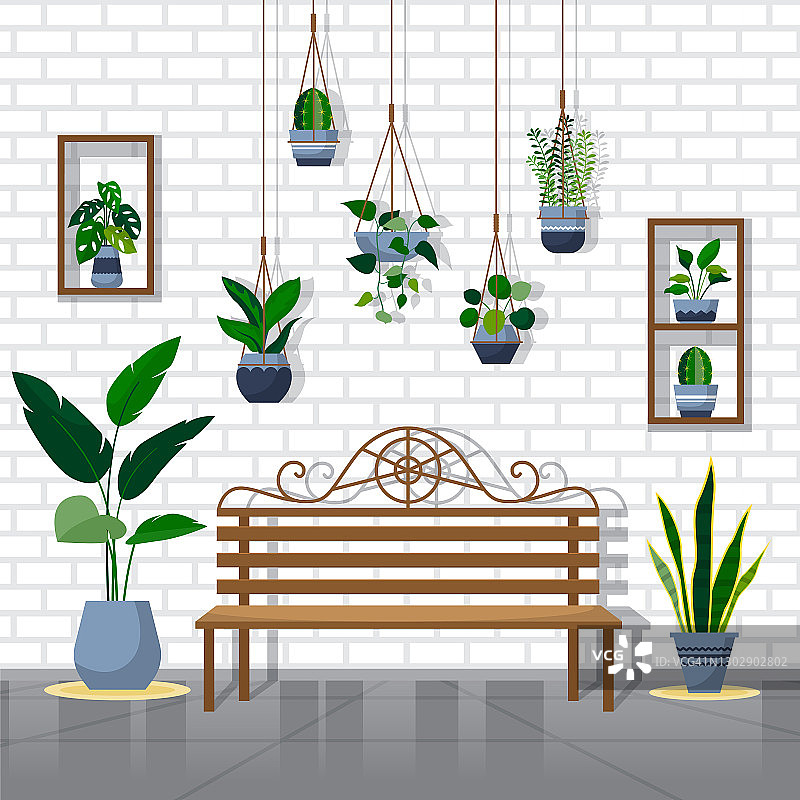 热带室内植物绿色装饰植物内饰图片素材