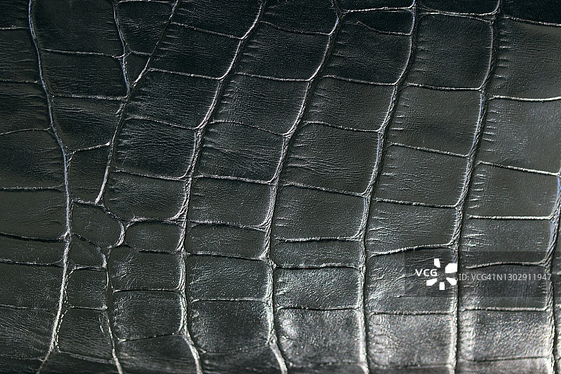 鳄鱼皮纹理特写图片素材
