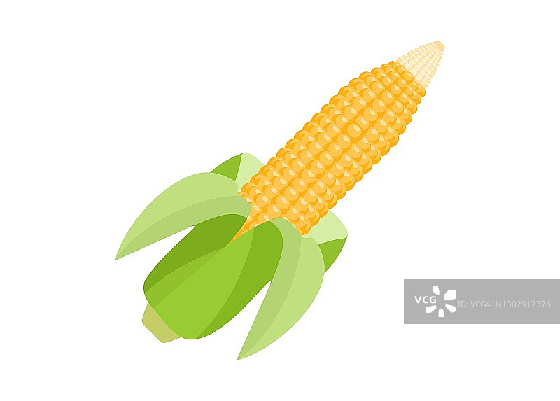 剥皮玉米扁平风插画图片素材