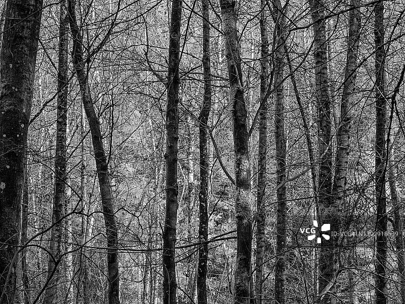 达布尼州立游乐区图片素材