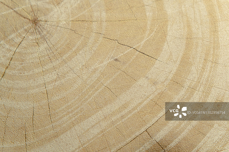 自然光下的木纹背景图片素材