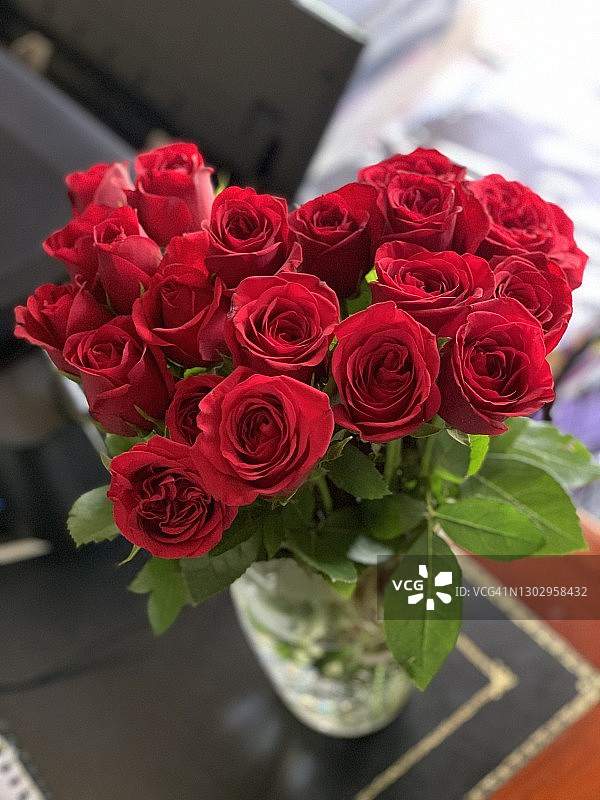 红玫瑰图片素材