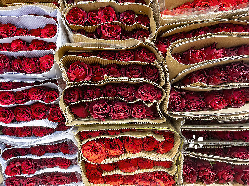 纸袋中待售的玫瑰图片素材