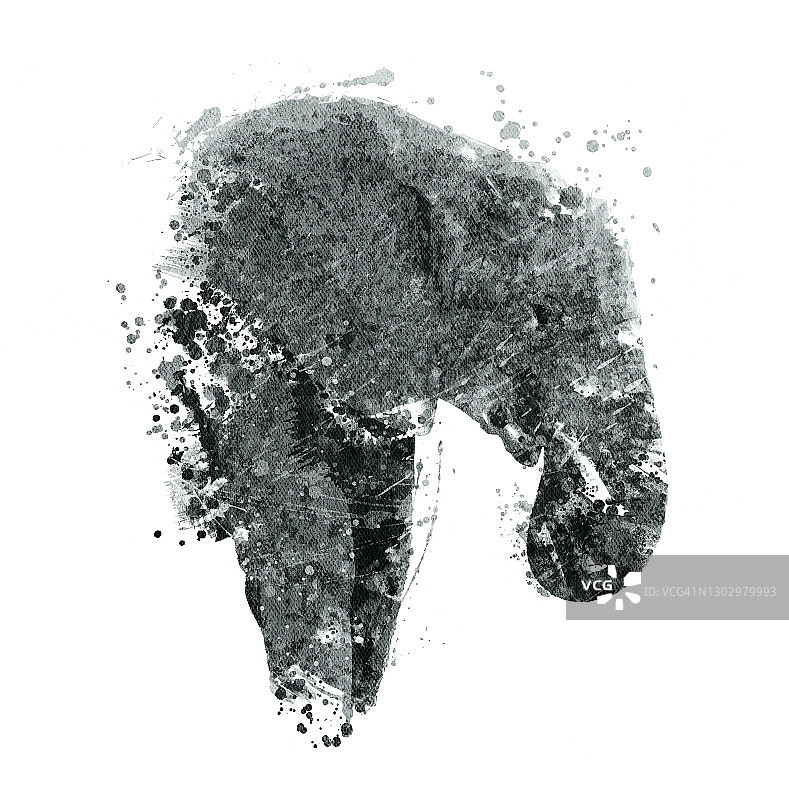 非洲象插画图片素材