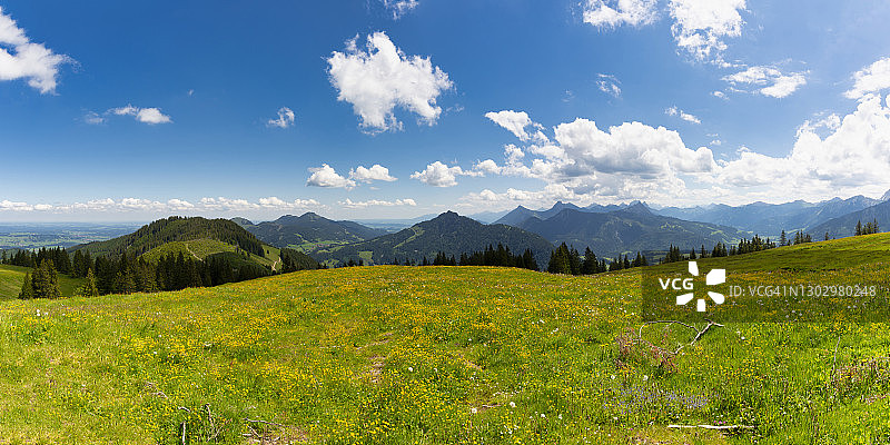 阿尔高阿尔卑斯山脉的春季草甸全景图片素材