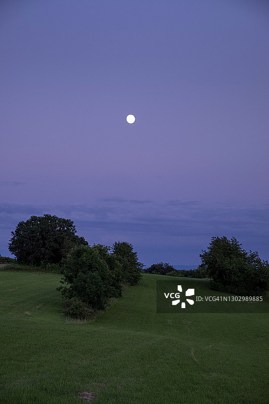 紫色天空下满月前的空旷草地图片素材
