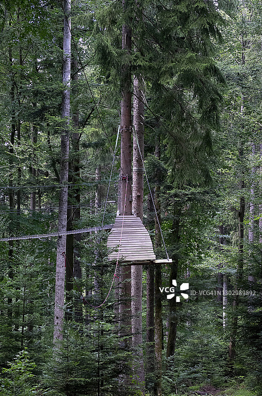 冒险森林中的高空绳索课程图片素材