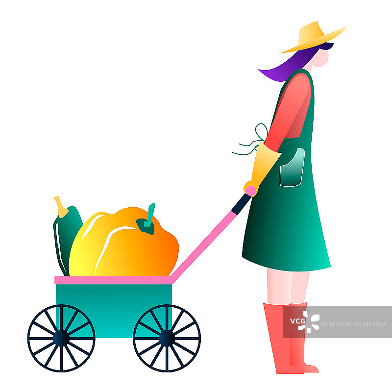 女园丁用手推车运送南瓜蔬菜，采摘当季的收成图片素材