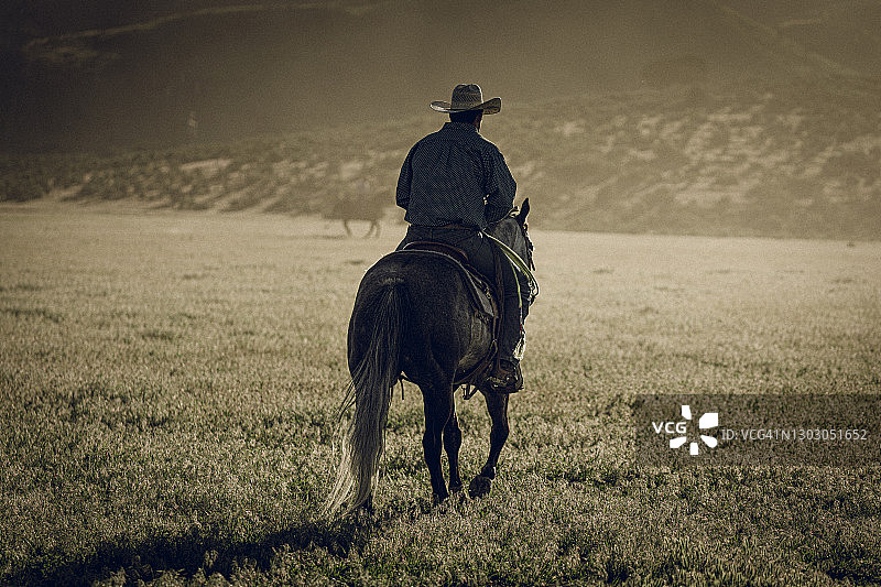 牛仔骑在马背上，在犹他州的牧场上等待监督马群奔跑的后视图图片素材