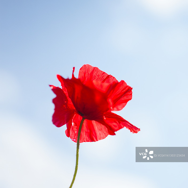 我们永不忘记图片素材