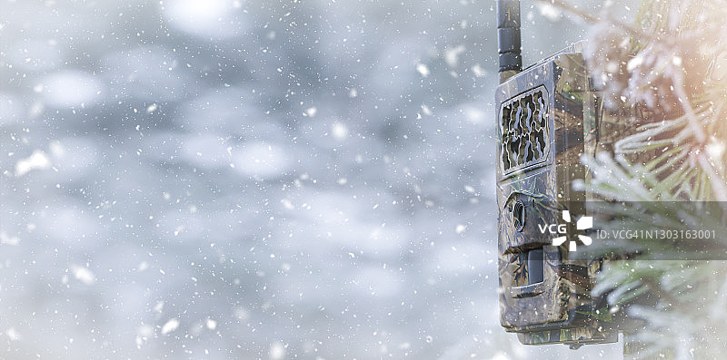安装在雪林树上的相机陷阱或照相机，用于野生动物位置监测，飞舞的雪花，文本的复制空间图片素材