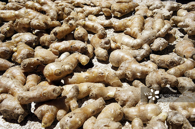 生姜根图片素材