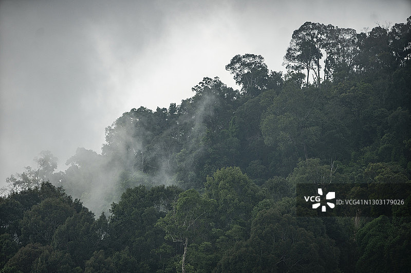 雾气笼罩着高山山脉，感受清新自然的迷人景色图片素材