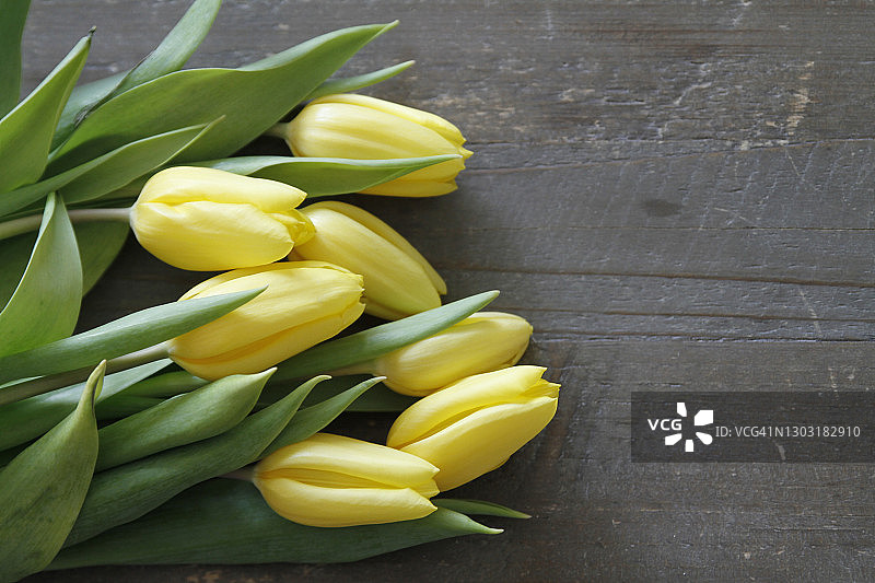 木头上的郁金香特写图片素材