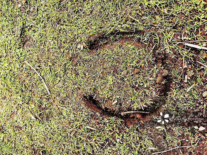 草地上的马蹄印图片素材