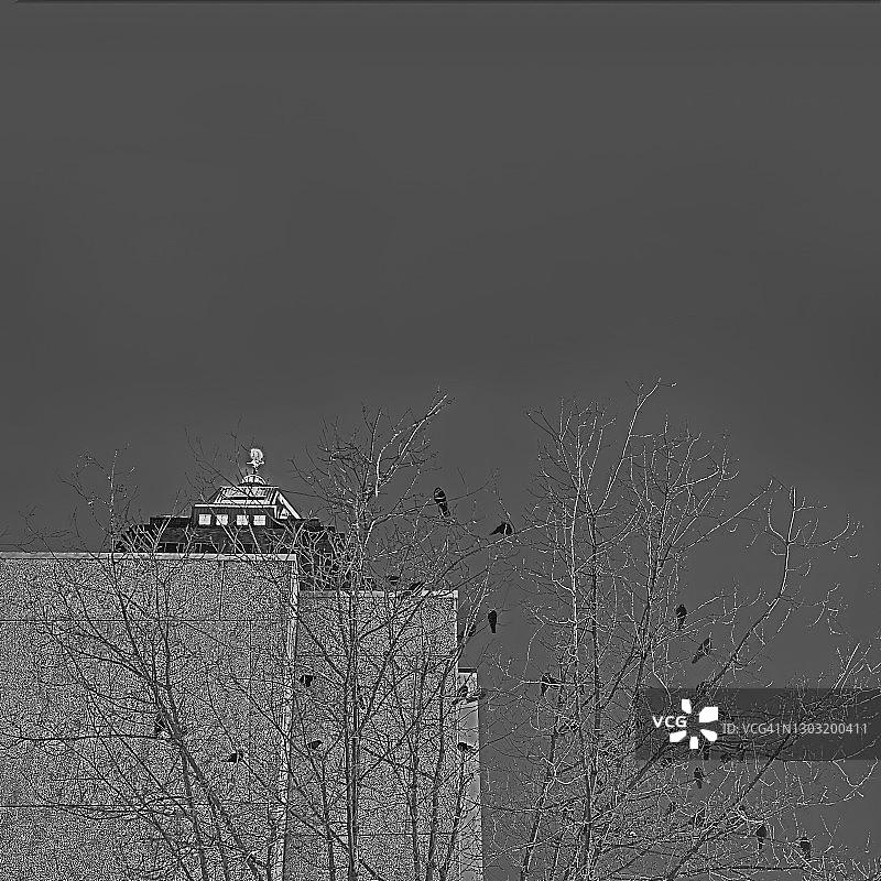 现代主义与乌鸦图片素材