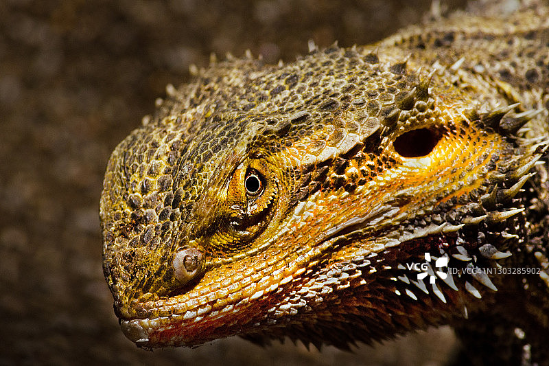 谁，我吗？图片素材