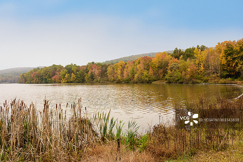 湖面秋色图片素材