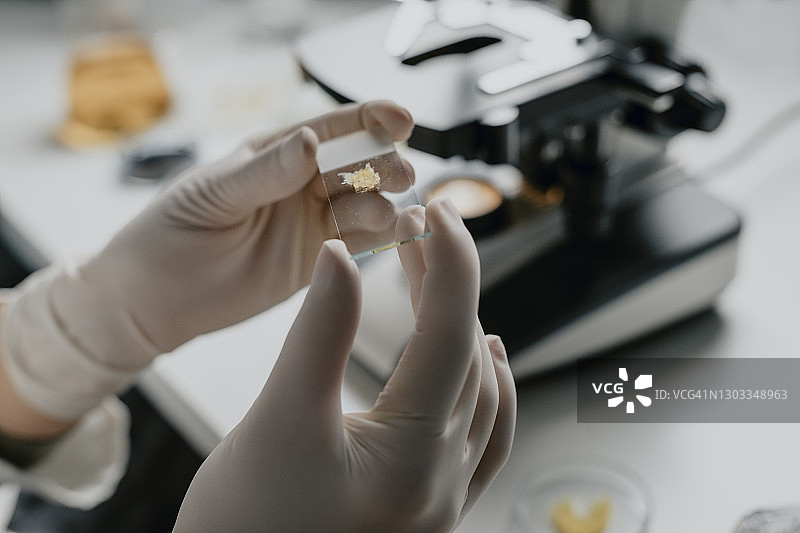 匿名科学家在显微镜载玻片上准备样品图片素材