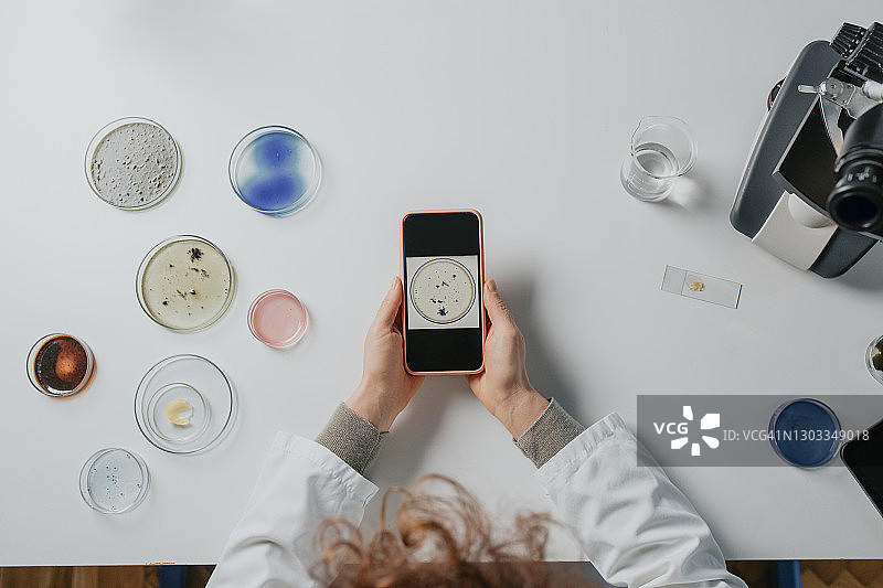 匿名科学家在手机上查看培养皿中微生物的图像图片素材