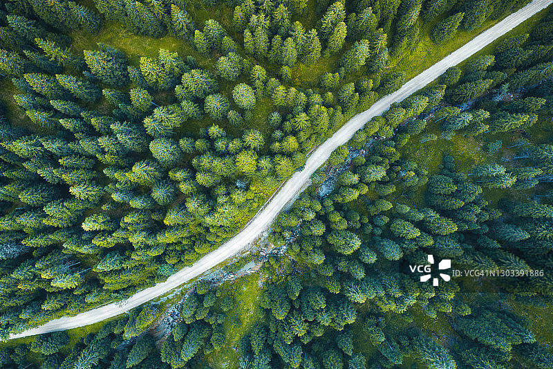 田园森林公路图片素材