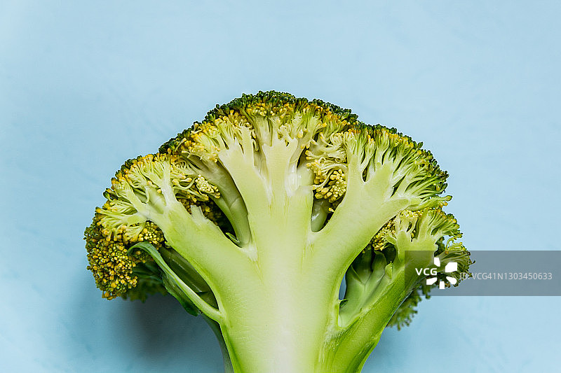 蓝色背景上的切片新鲜西兰花特写。图片素材