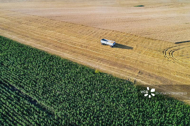 收割季节油菜籽田拖车航拍图片素材