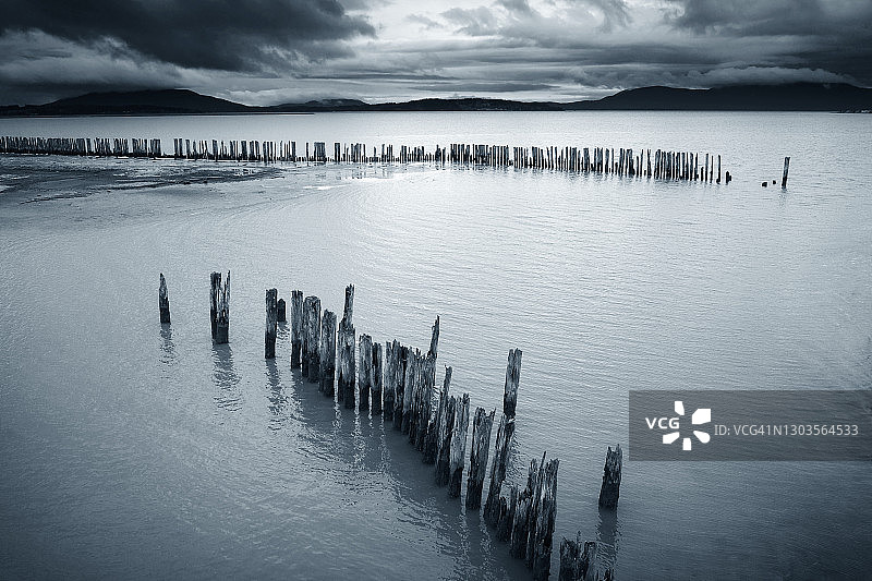 华盛顿州拉米湾的老桩图片素材