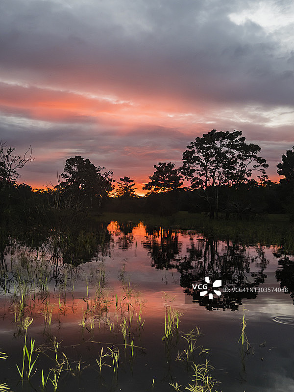 秘鲁洛雷托帕卡亚-萨米里亚保护区黄金河日落图片素材
