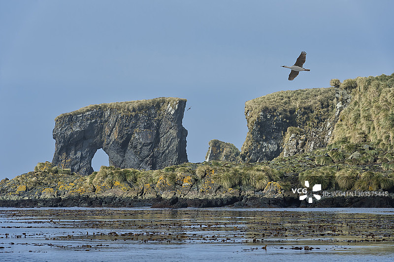 南乔治亚和南桑威奇群岛的昂迪讷港，南极洲图片素材