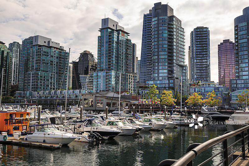 煤港码头：休闲船只、船屋与城市天际线，温哥华，加拿大图片素材