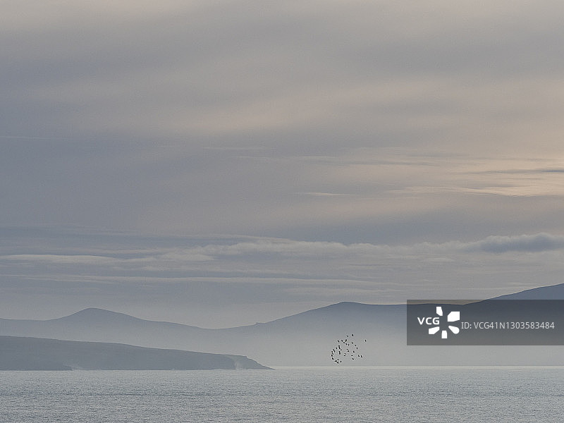 香农河口，克莱尔郡，芒斯特，爱尔兰，欧洲图片素材