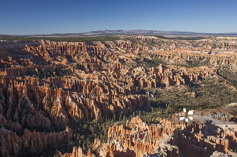 从布莱斯点边缘小径观看布莱斯峡谷国家公园布莱斯圆形剧场，美国犹他州图片素材