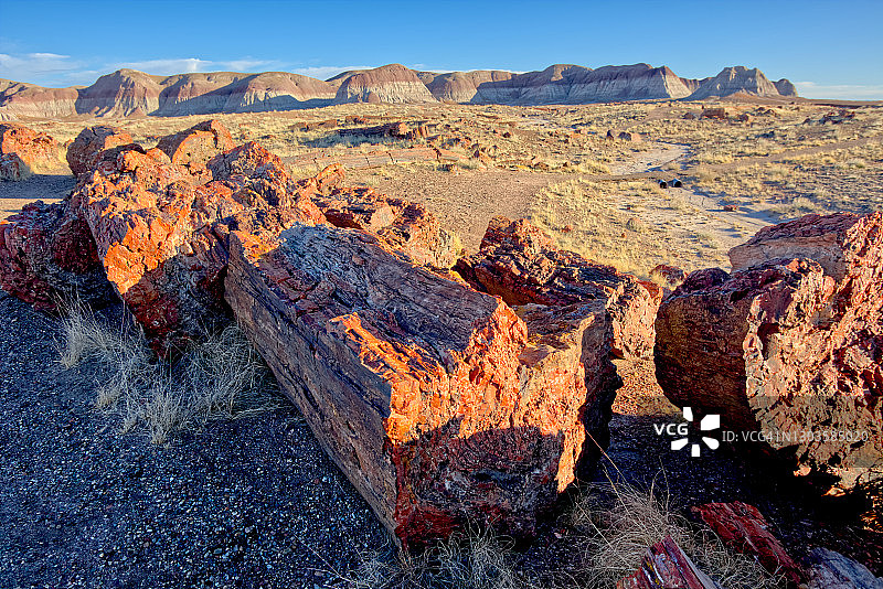 美国亚利桑那州石化林国家公园长木步道南端景色图片素材