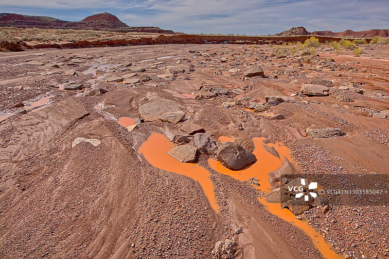 美国亚利桑那州石化林国家公园的硅化木盆地图片素材