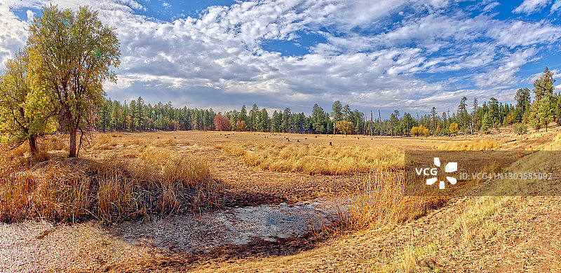 亚利桑那州干旱导致干涸的JD大坝湖旧址草原，位于美国亚利桑那州威廉姆斯以南凯巴布国家森林图片素材