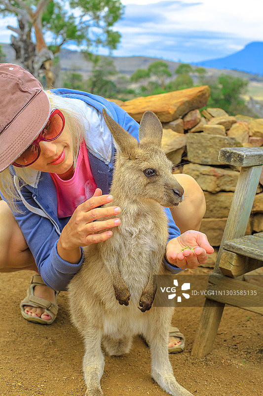女子在户外用手喂小袋鼠（红色大袋鼠），澳大利亚有袋动物，新南威尔士州，澳大利亚，太平洋图片素材