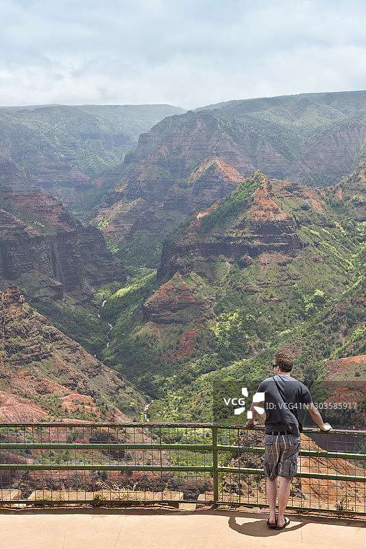 威美亚峡谷，美国夏威夷州可爱岛图片素材