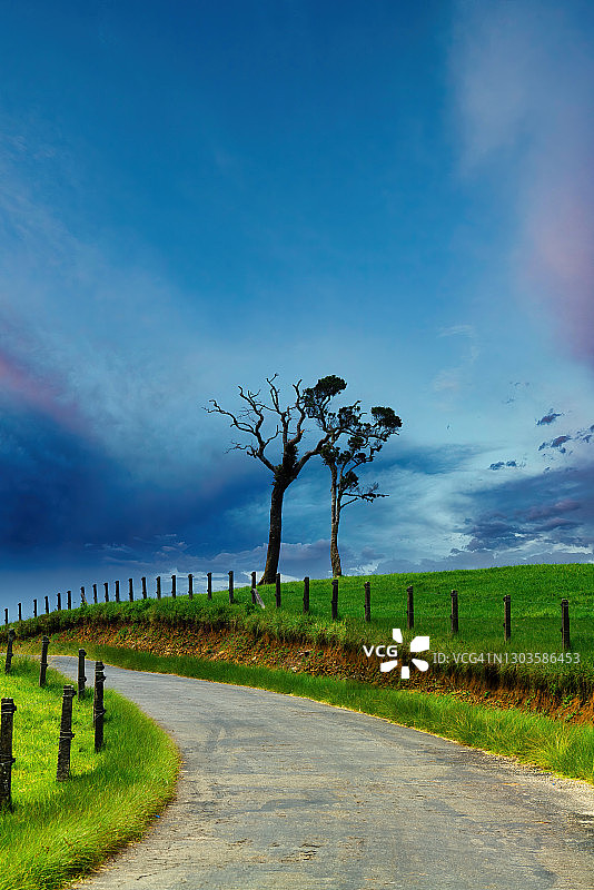 斯里兰卡中央省努瓦拉埃利亚山区的风景图片素材